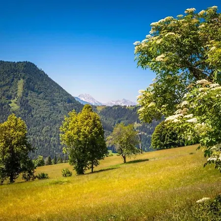 Διαμέρισμα Scenic In Salzburg With Swimming Pool Krispl