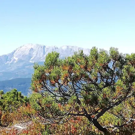 Scenic In Salzburg With Swimming Pool Daire