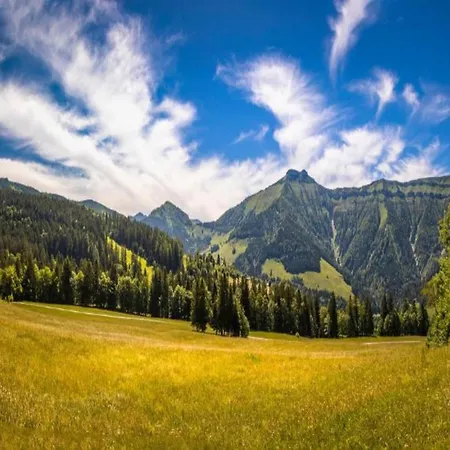 Scenic In Salzburg With Swimming Pool * Krispl