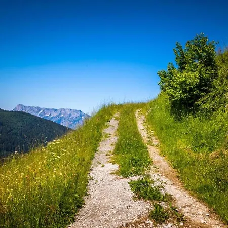 Scenic In Salzburg With Swimming Pool Daire *