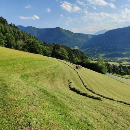 Scenic In Salzburg With Swimming Pool Apartamento Krispl