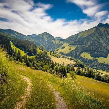 Scenic In Salzburg With Swimming Pool Krispl