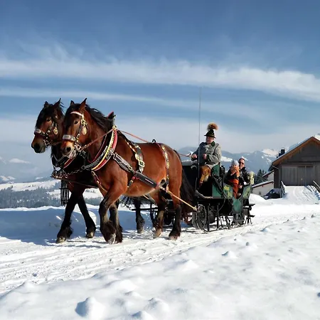 Scenic In Salzburg With Swimming Pool Daire