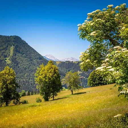 Scenic In Salzburg With Swimming Pool Krispl