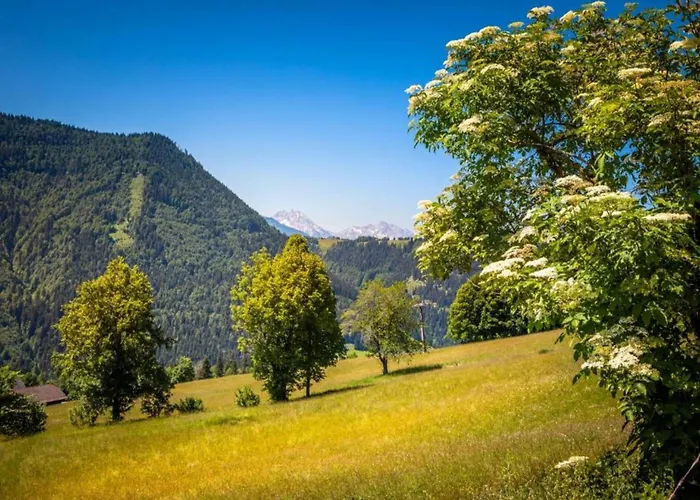 Scenic In Salzburg With Swimming Pool Krispl